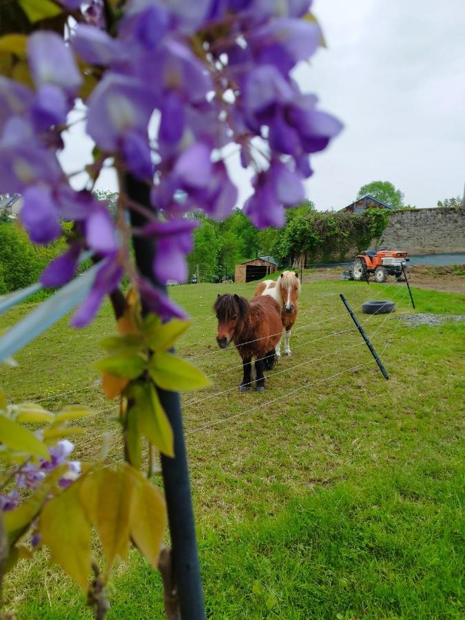 Le Domaine De Pivette Chambre Climatisee Et Insolite Avec Terrasse Privative アブランシュ エクステリア 写真